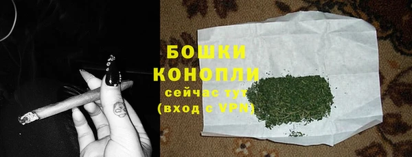 СК Карпинск