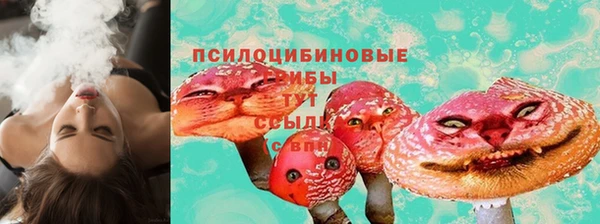 СК Карпинск