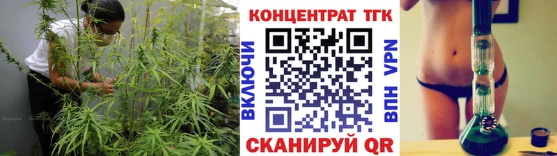 ТГК жижа  Шилка 